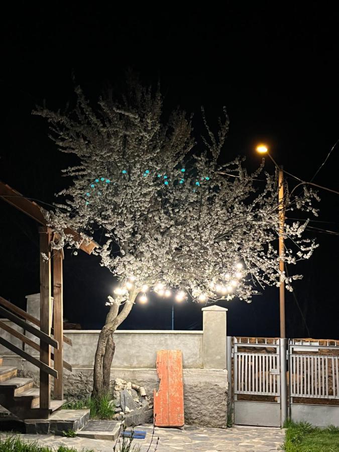 메스티아 Girgola B&B 외부 사진
